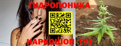 гашик Новокубанск