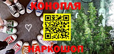гашик Новокубанск