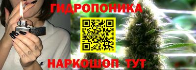 гашик Нальчик