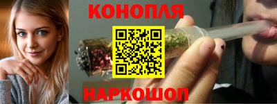 гашик Новокубанск